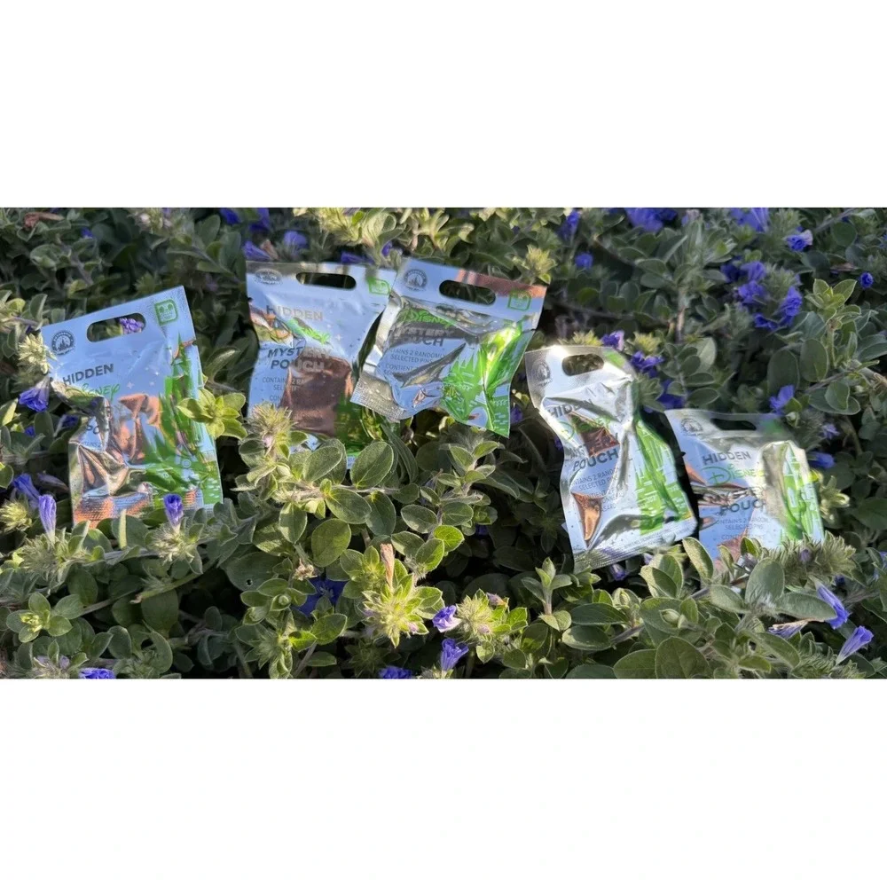 (5 Pack) 2026 Disneyworld Hidden Mickey Mystery Pouch Wave A 2 Pins/Bag
